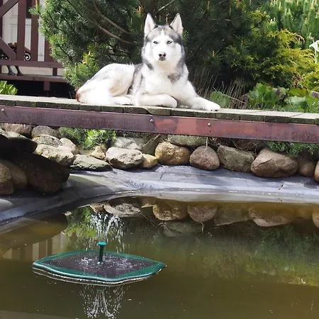 Guest House Дом отдыха